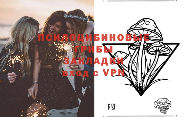2c-b Алексеевка